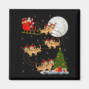 Aimant Père Noël surveillant cerf éléphants sleigh volant