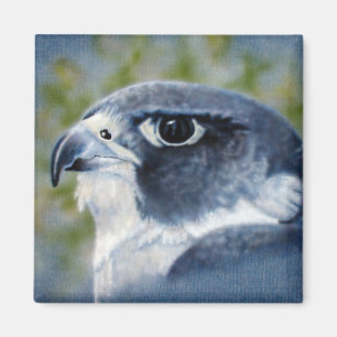 Aimant Peregrine-aérographe