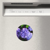 Aimant Périwinkel hydrangeas violet bleu fleur floral (In Situ (Lave-vaisselle))