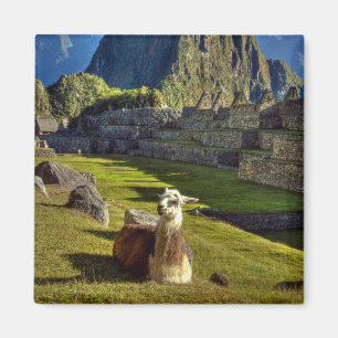 Aimant Pérou, Andes, Montagnes des Andes, Machu Picchu