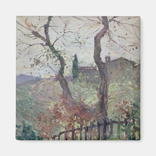 Aimant Pérouse, Ombrie, 1894 (Devant)