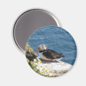 Aimant Perroquet (Recto/Verso)