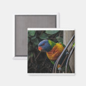 Aimant Perroquet (Recto/Verso)