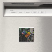 Aimant Perroquet (In Situ (Lave-vaisselle))