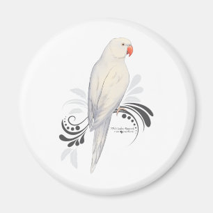 Aimant Perroquet blanc de Ringneck d'Indien
