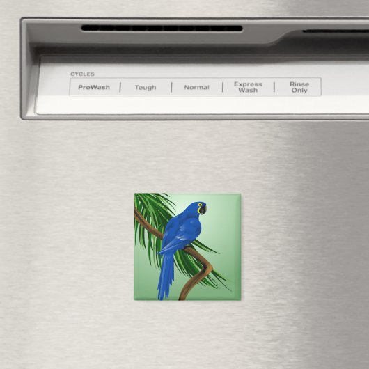 Aimant Perroquet bleu (In Situ (Lave-vaisselle))