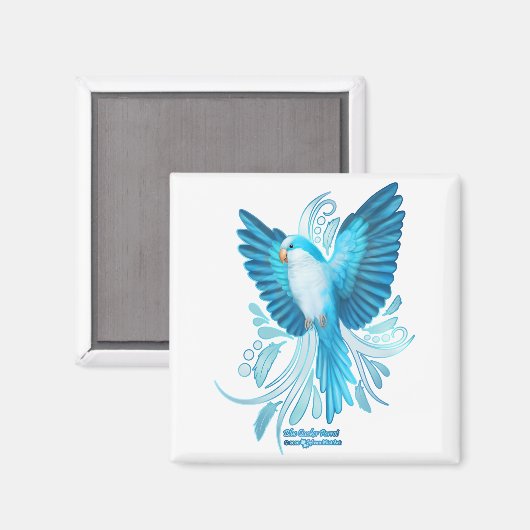 Aimant Perroquet bleu Quaker (Recto/Verso)