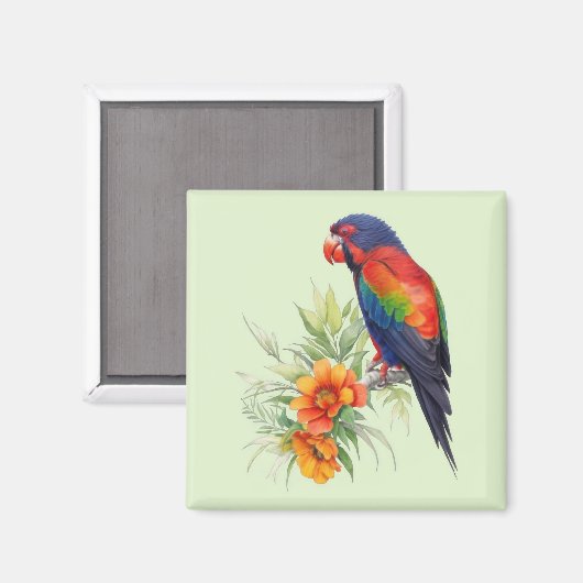 Aimant Perroquet coloré (Recto/Verso)