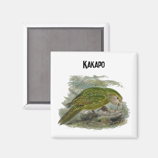 Aimant Perroquet de Chouette verte Kakapo, Illustration d (Recto/Verso)
