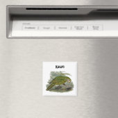 Aimant Perroquet de Chouette verte Kakapo, Illustration d (In Situ (Lave-vaisselle))