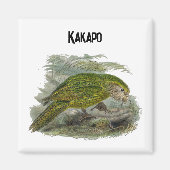 Aimant Perroquet de Chouette verte Kakapo, Illustration d (Devant)