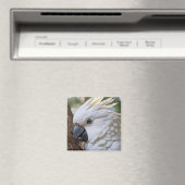Aimant Perroquet de Cockatoo australien blanc, (In Situ (Lave-vaisselle))