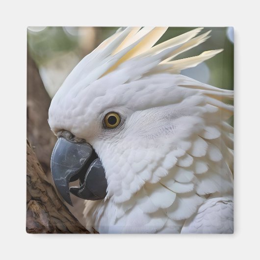 Aimant Perroquet de Cockatoo australien blanc, (Devant)