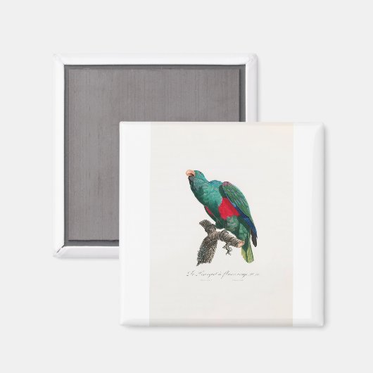 Aimant perroquet de macaw (Recto/Verso)