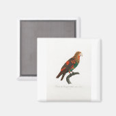 Aimant perroquet de macaw (Recto/Verso)