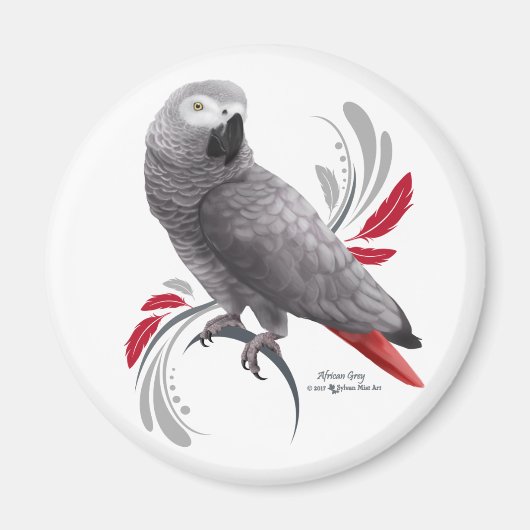Aimant Perroquet gris d'Afrique (Devant)