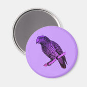 Aimant Perroquet pourpre (Recto/Verso)