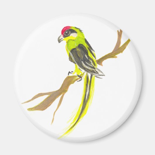 Aimant Perroquet sur une branche. Peinture aquarelle. (Devant)