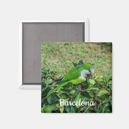 Aimant Perroquet vert (Recto/Verso)