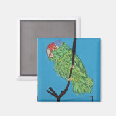 aimant perroquet vert (Recto/Verso)
