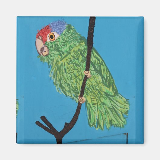 aimant perroquet vert (Devant)