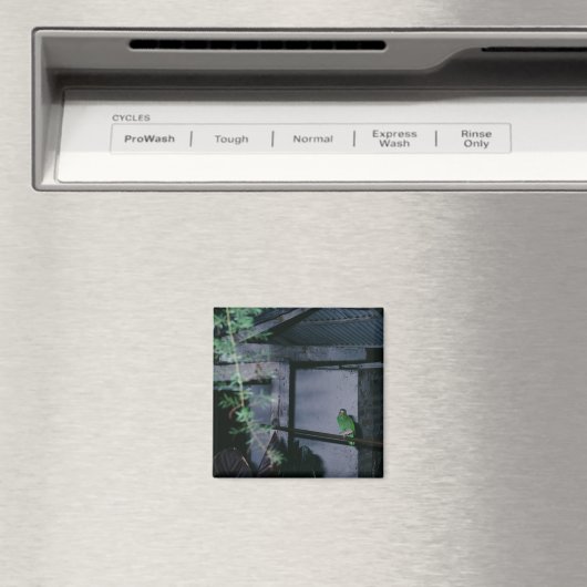 Aimant Perroquet vert local Polly Honduras (In Situ (Lave-vaisselle))