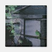 Aimant Perroquet vert local Polly Honduras (Devant)