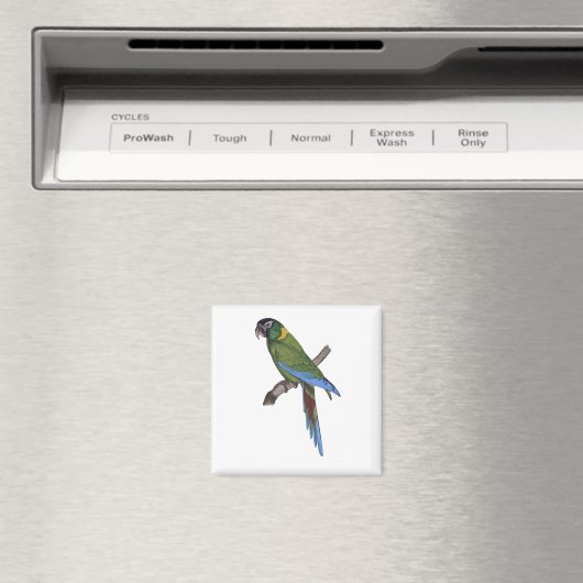 Aimant Perroquet vert Macaw Art fin peinture nature (In Situ (Lave-vaisselle))