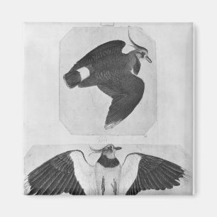 Aimant Perruches, le de l'album de Vallardi