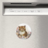 Aimant Perse de Tortoiseshell (In Situ (Lave-vaisselle))