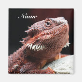 Aimant Personalized Adult Red Bearded Dragon Lizard (Devant)