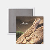 Aimant Personalized Baby Bearded Dragon Lizard (Recto/Verso)