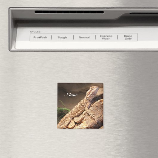 Aimant Personalized Baby Bearded Dragon Lizard (In Situ (Lave-vaisselle))