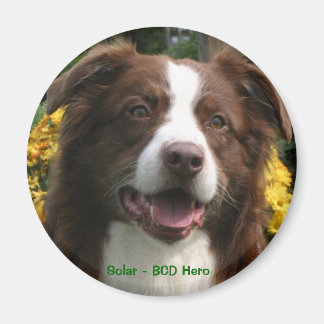 Aimant personnalisable