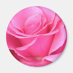 Aimant personnalisable de pétales de rose roses