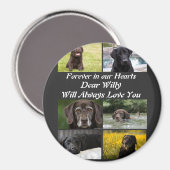 Aimant Personnalisation moderne Pet Memorial 6 Photo Coll (Recto/Verso)