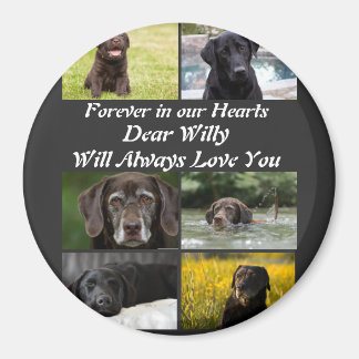 Aimant Personnalisation moderne Pet Memorial 6 Photo Coll