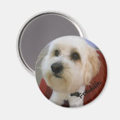 Aimant Personnalités magnétiques - Freddie (Recto/Verso)