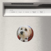 Aimant Personnalités magnétiques - Freddie (In Situ (Lave-vaisselle))