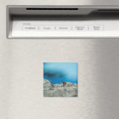 Aimant Perspective (In Situ (Lave-vaisselle))