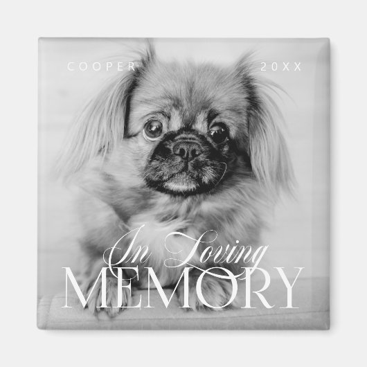 Aimant Pet Memorial Love Memory Simple Photo moderne (Devant)