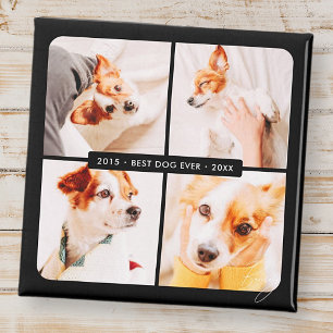 Aimant Pet Memorial Meilleur Chien Jamais Photo Collage m