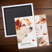 Aimant Pet Memorial Modern Simple Geometry Photo Collage