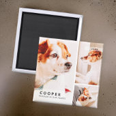 Aimant Pet Memorial Modern Simple Geometry Photo Collage