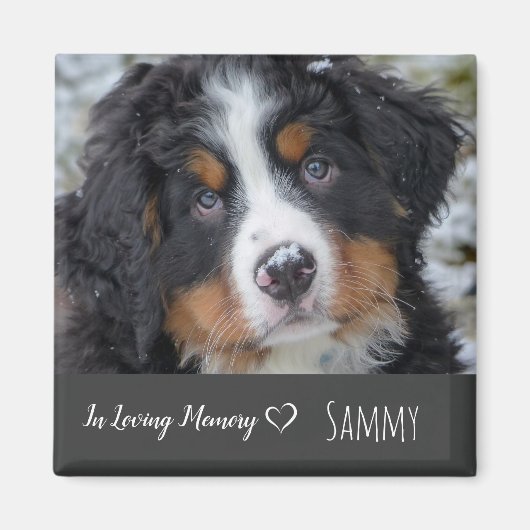 Aimant Pet Photo Memorial - Pet Loss - In Loving Memory (Devant)