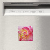 Aimant pétales rose jaune (In Situ (Lave-vaisselle))