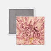 Aimant Pétales roses1_5x7etsy (Recto/Verso)