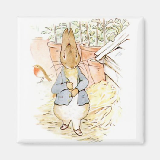 Aimant Peter Rabbit dans le jardin (par Beatrix Potter) (Devant)