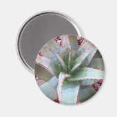 Aimant Petit agave (Recto/Verso)