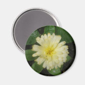 Aimant Petit amant jaune Marigold (Recto/Verso)